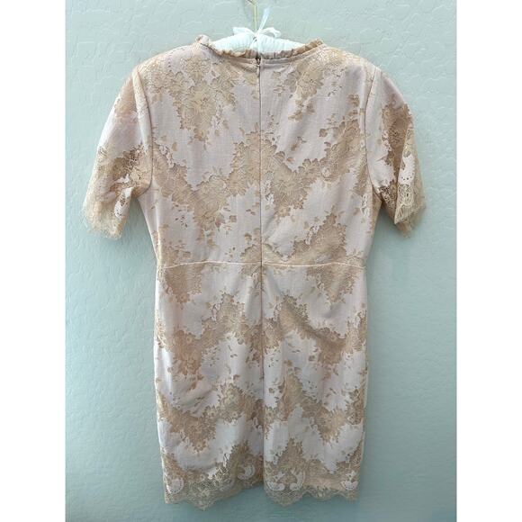 🆕 ROOLEE | Blush Pink Lace Feminine Short Sleeve Shift Midi Dress | Large - Picture 4 of 8